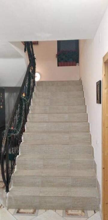 Фото номера Улучшенная вилла Гостевой дом Villa Delle Camelie г. Vadu Moţilor 3